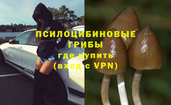 соль курить ск Аркадак