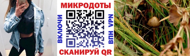 Псилоцибиновые грибы GOLDEN TEACHER  Свирск 